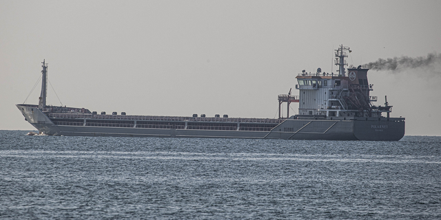 The Turkish-flagged Polarnet cargo ship makes its way Friday, Aug. 5, to Istanbul, Turkey.