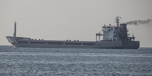 The Turkish-flagged Polarnet cargo ship heads to Istanbul, Turkey on Friday 5 August.