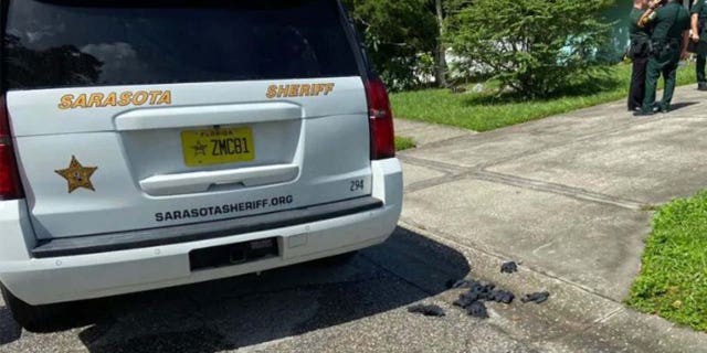 Sarasota County Sheriff's deputies on scene investigating.