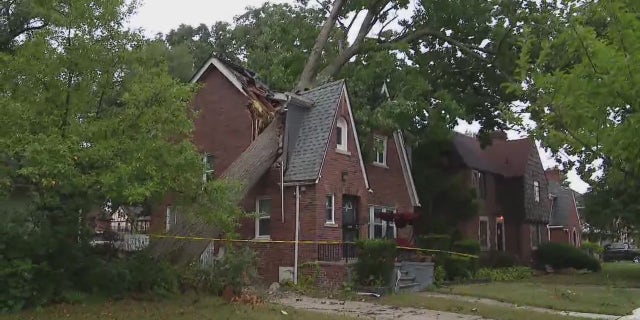 A tree falls on a house after Michigan storms