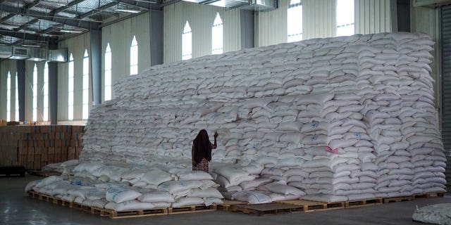 Workers walk next to bags of food designated for the Tigray and Afar regions at a World Food Program (WFP) warehouse in Semera, capital of Ethiopia's Afar region, on February 21, 2022. 