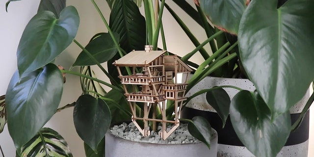 Purchase a tiny treehouse to spruce up a plant in your dorm room.
