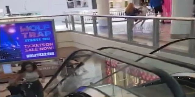 A woman is seen running up at escalator as panicked shoppers flee the Tysons Corner Center mall.