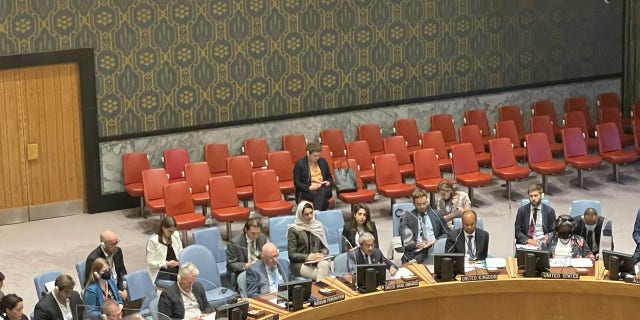 United Nations Security Council meeting to discuss the latest situation in the Middle East.