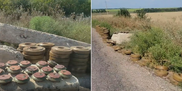 A video taken by a former U.S. Army Green Beret purportedly shows stacks of mines that have been removed from a field in Ukraine. 
