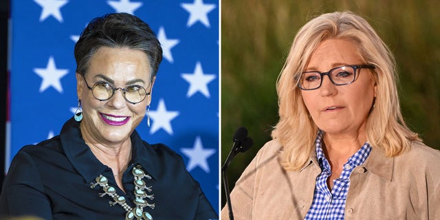 Trump-endorsed Harriet Hageman defeated incumbent Rep. Liz Cheney Tuesday in the race to represent Wyoming's at-large Congressional District.