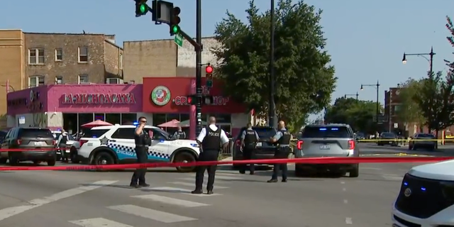 Chicago Weekend Violence: 9 Dead, 25 Wounded, Including A Driver Who ...