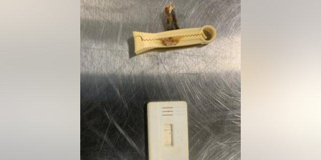 A passenger on the exact same recurring flight originating from Honduras to New Orleans also was traveling with an umbilical cord and a positive pregnancy test in his luggage and told officials that they belonged to a relative.