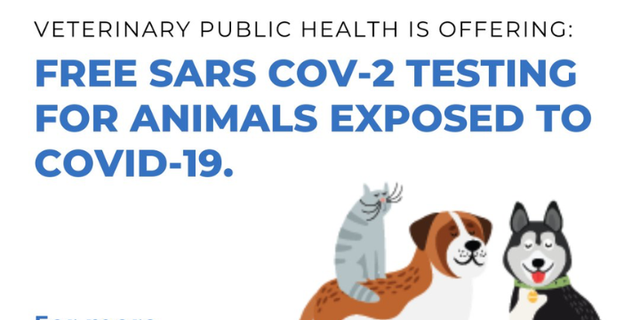 The Los Angeles County Department of Public Health is offering free COVID-19 testing for pets who may have been exposed to the virus.