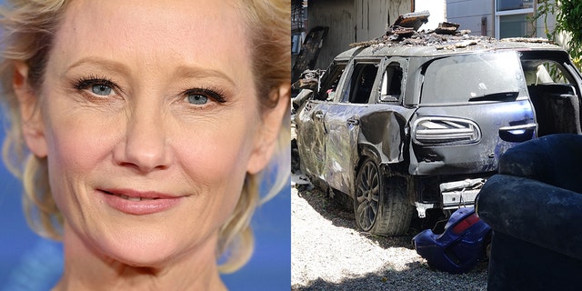 Heche survived the car wreck and is currently in "stable condition," according to reports.