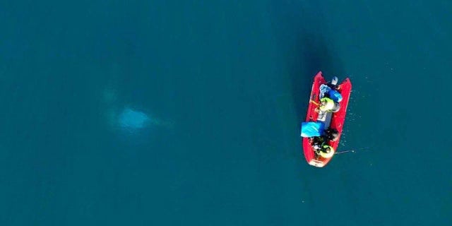 Boats located the truck in 50-foot-deep water.