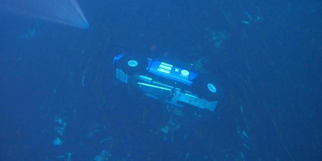 Divers will recover a Ford F-150 in the water off Canada's Tasmania Islands