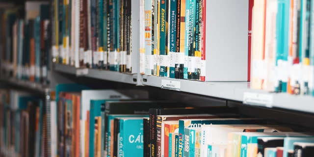 Library book shelves