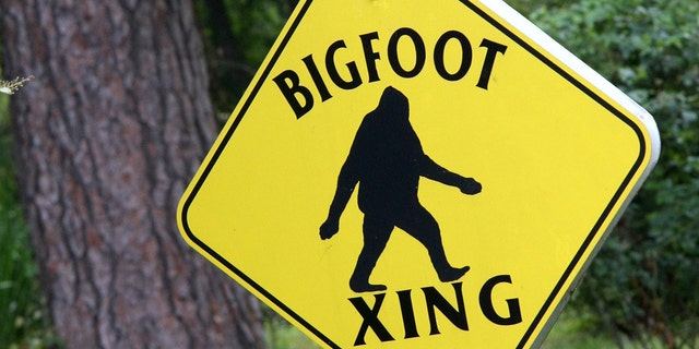 A bright yellow street sign warning of Bigfoot Crossing. Some people believe this tall, hairy creature exists.