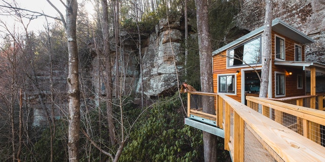 The overlook off the side of Cliff Dweller rental in the Red River Gorge, Kentucky.