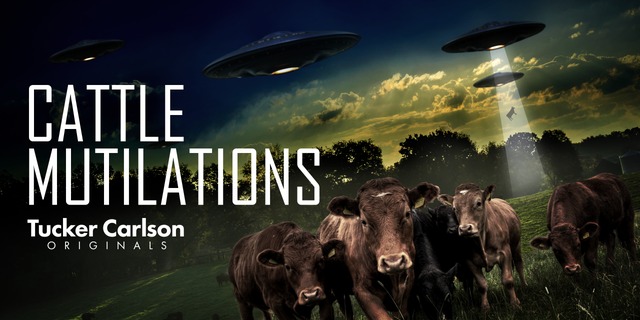 「タッカーカールソンオリジナル: Cattle Mutilations’ now available to stream on Fox Nation