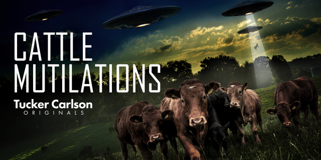「タッカーカールソンオリジナル: Cattle Mutilations’ now available to stream on Fox Nation