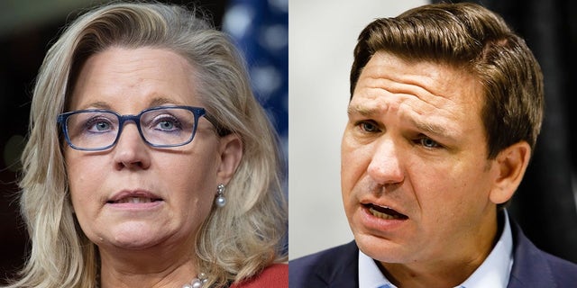 Left: Wyoming Rep. Liz Cheney. Right: Florida Gov. Ron DeSantis.