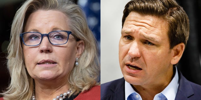 Left: Wyoming Rep. Liz Cheney. Right: Florida Gov. Ron DeSantis.