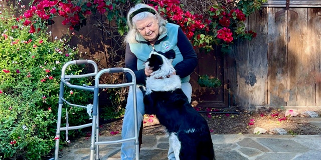 Sheila and her dog Chex help clients at the Pacific Grove, Calif., dog rescue.