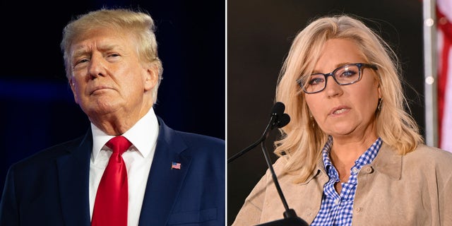 Former President Trump endorsed Harriet Hageman, Rep. Liz Cheney's challenger in the GOP primary race to represent Wyoming's at-large Congressional District.