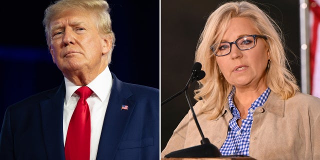 Former President Trump endorsed Harriet Hageman, Rep. Liz Cheney's challenger in the GOP primary race to represent Wyoming's at-large Congressional District.