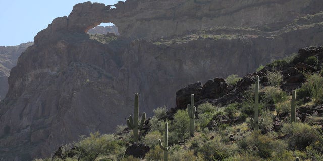 The Arizona desert in Tucson Sector where two children were rescued by Border Patrol agents.