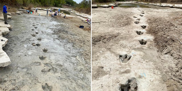 The park said that the tracks will likely get buried under sediment and water once it begins to rain.