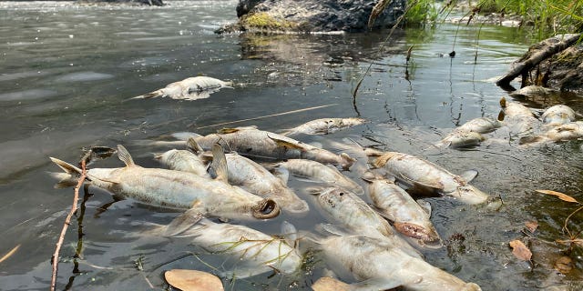California farmers warned to stop diverting water in drought-hit area | Fox News California farmers warned to stop diverting water in drought-hit area | Fox News