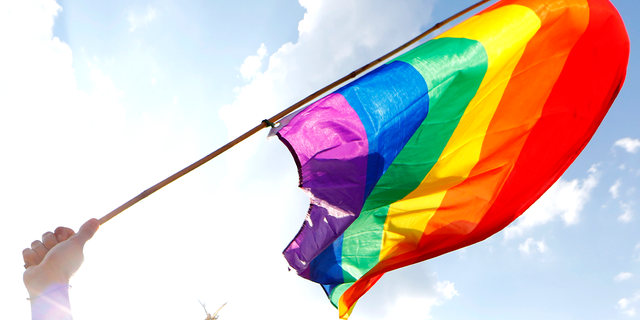 A man holding a rainbow flag at a gay pride parade.