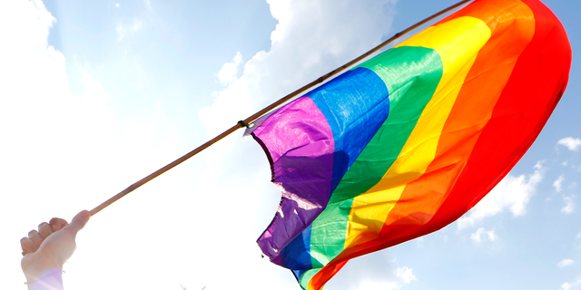 A person holds a rainbow flag during a gay pride parade.