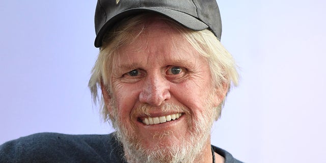 Actor Gary Busey has been charged with sex crimes in New Jersey.