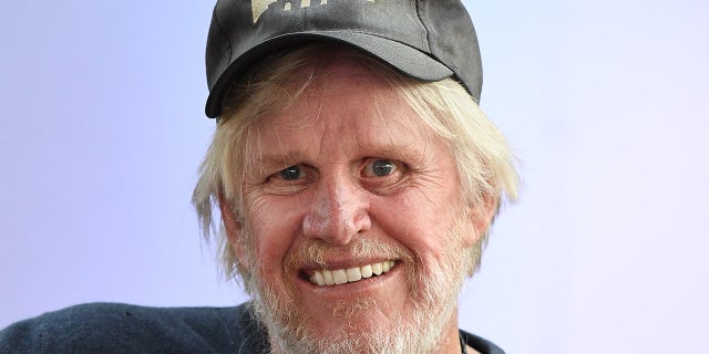 Actor Gary Busey has been charged with sex crimes in New Jersey.