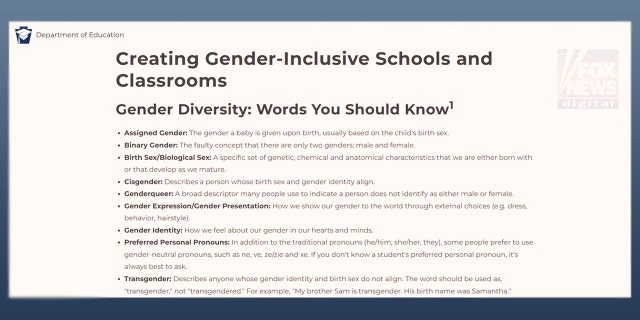 The Pennsylvania Education Department listed pronouns on its website, including ne, ve, ze/zie and xe as some examples.