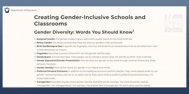 The Pennsylvania Education Department listed pronouns on its website, including ne, ve, ze/zie and xe as some examples.