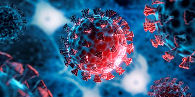 The proper response to the COVID-19 virus was a continually developing controversy throughout 2020 and the years that followed.