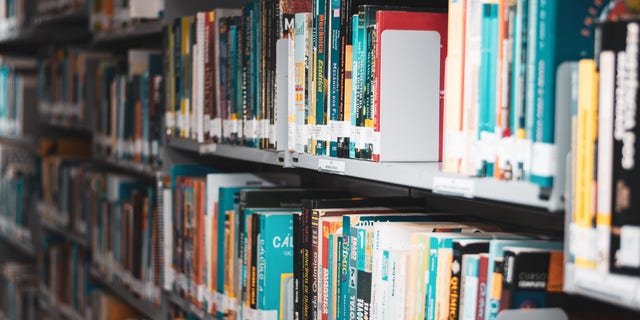 Florida House Speaker announced he has requested records from school district officials regarding so-called "age-inappropriate" reading materials available in public school libraries.