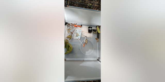 Needles are found in homeless encampments throughout Austin.
