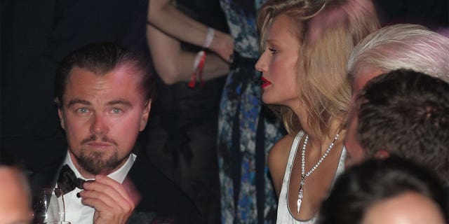 Leonardo DiCaprio dated Toni Garrn for a year from 2013 to 2014.