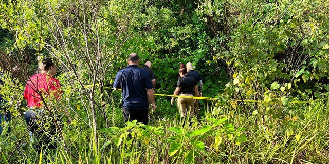 Florida Homeless Group Discovers Human Skeletal Remains In Woods ...