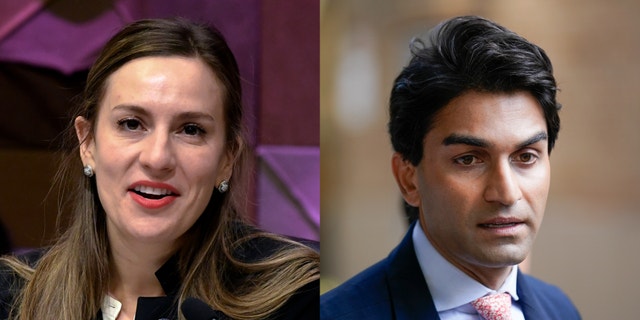 New York congressional candidates Suraj Patel and Alessandra Biaggi are among challengers looking to unseat veteran House members including Reps. Jerrold Nadler, Carolyn Maloney, and Sean Patrick Maloney (Biaggi: AP Photo/Hans Pennink, File; Patel: AP Photo/Seth Wenig, File)