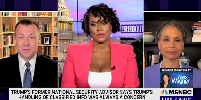 Former FBI agent Peter Strzok on MSNBC "The ReidOut" on August 16, 2022.