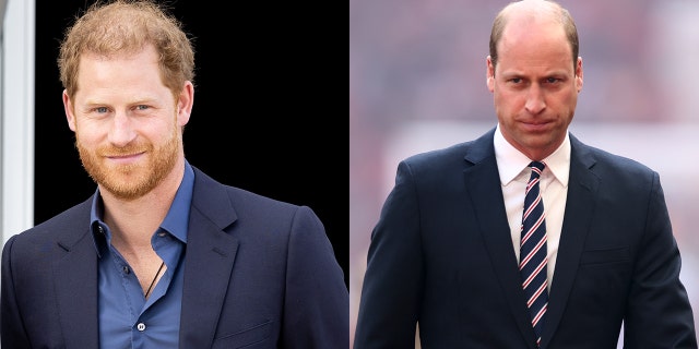 The ongoing feud between brothers Prince Harry and Prince William boiled to the surface as Prince Harry and his wife Meghan Markle announced they would be stepping down from their duties as senior royals.