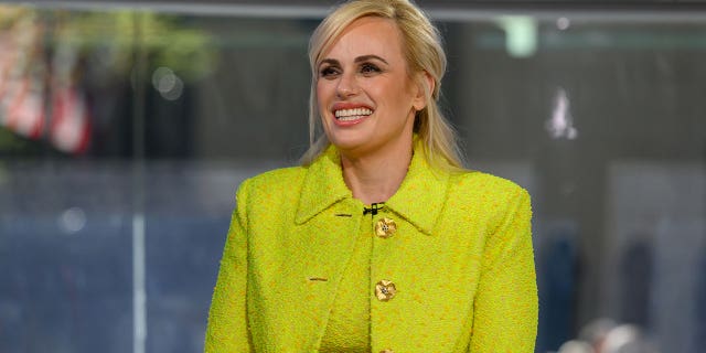 Rebel Wilson shared her love for all things Disney, despite a 30-day ban for taking a selfie in a "secret bathroom."