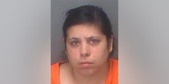 Ashley Richards, 32, was booked into the Pinellas County Jail on Aug. 10, 2022. 