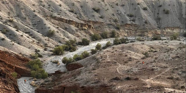 Rescue officials said that the group was from out of town and unfamiliar with the increased risk of hiking the difficult trails during the heat of the day.