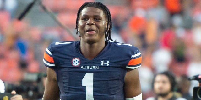 Auburn's TJ Finley arrested after allegedly evading police during traffic stop 2 Auburn Tigers quarterback TJ Finley leaves the field after defeating the Georgia State Panthers at Jordan-Hare Stadium on September 25, 2021 in Auburn, Ala.