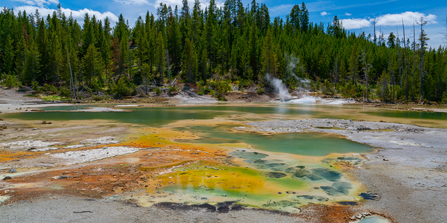 Hot springs in Yellowstone National Park in Wyoming.