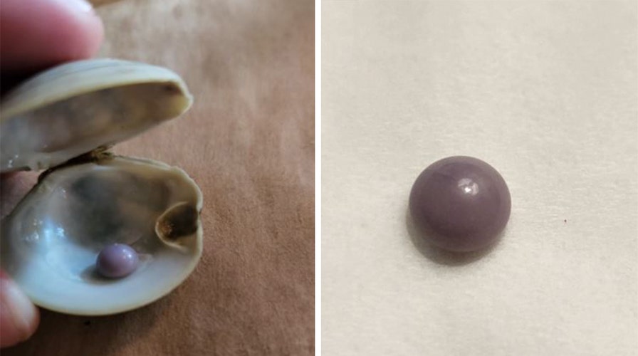 Clam pearl online value