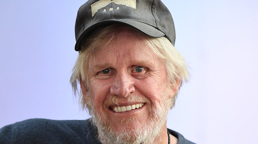 Gary Busey faces sex charges in New Jersey